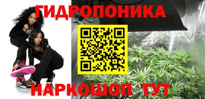 альфа пвп Гатчина