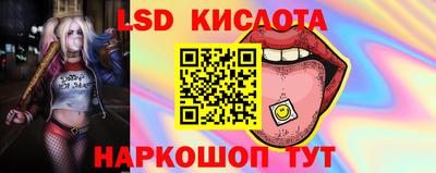 PSILOCYBIN Гагарин