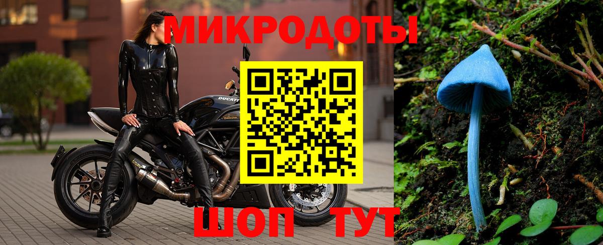 Галлюциногенные грибы Cubensis  Вход с VPN  Михайловск 