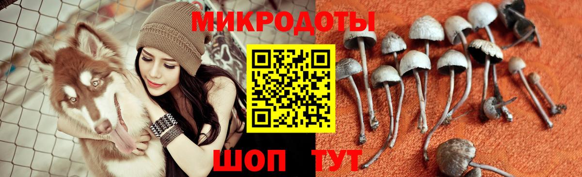 Галлюциногенные грибы мухоморы Михайловск